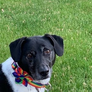 Meet your Posher, Anne